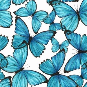 Meet your Posher, Elise